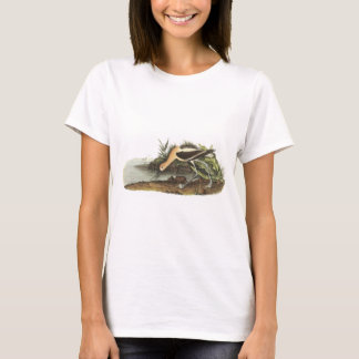Audubon著アメリカのAvocet Tシャツ