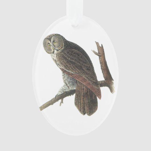 Audubon著カラフトフクロウ オーナメント (正面)
