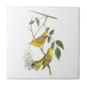 Audubon著キイロアメリカムシクイ タイル (正面)