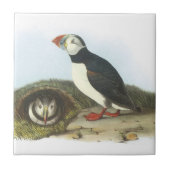Audubon著ニシツノメドリ タイル (正面)