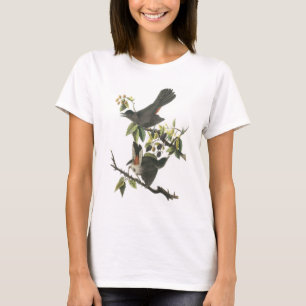 Audubon著ネコマネドリ Tシャツ
