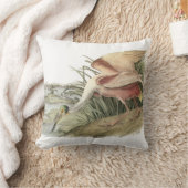 Audubon著ベニヘラサギ クッション (ブランケット)