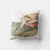 Audubon著ベニヘラサギ クッション (裏面)