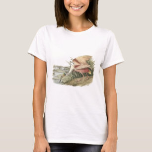 Audubon著ベニヘラサギ Tシャツ