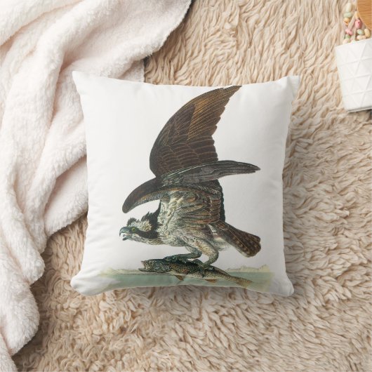 Audubon著ミサゴ クッション (ブランケット)