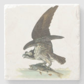 Audubon著ミサゴ ストーンコースター (正面)