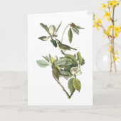Audubon著モズモドキ科をさえずっていること カード (黄色い花)