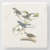 Audubon著ルリノジコ ストーンコースター (正面)