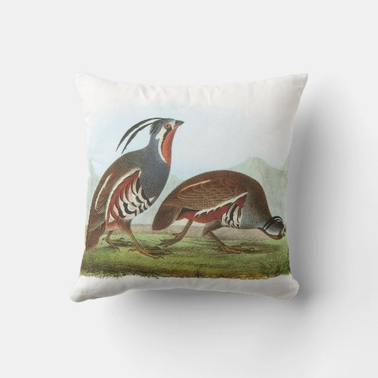 Audubon著山ウズラ クッション (裏面)