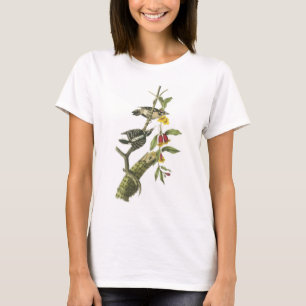 Audubon著綿毛のようなキツツキ Tシャツ
