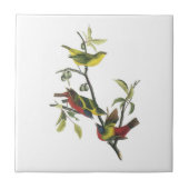 Audubon著色彩の鮮やかな旗布 タイル (正面)