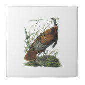 Audubon著野生のトルコ タイル (正面)