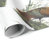 Audubon著野生のトルコ ラッピングペーパー (ロールコーナー)