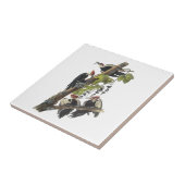 Audubon著Pileatedのキツツキ タイル (側面)