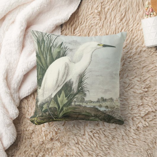 Audubon著Snowy白鷺 クッション (ブランケット)