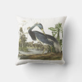 Audubon著Tricoloredの鷲 クッション (裏面)