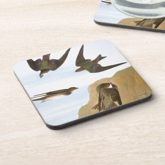 Audubon: つばめ コースター (左側)