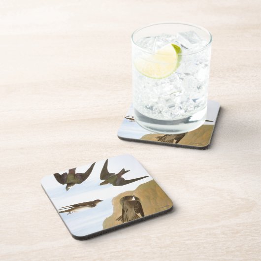 Audubon: つばめ コースター (右側)