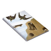 Audubon: つばめ ノートブック (右側)