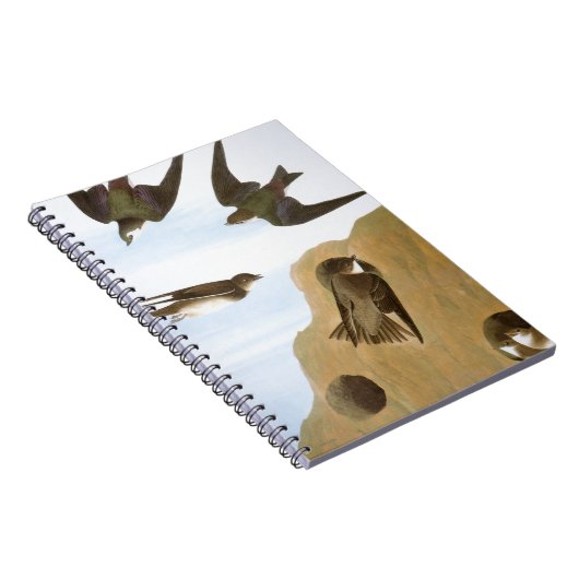 Audubon: つばめ ノートブック (右側)