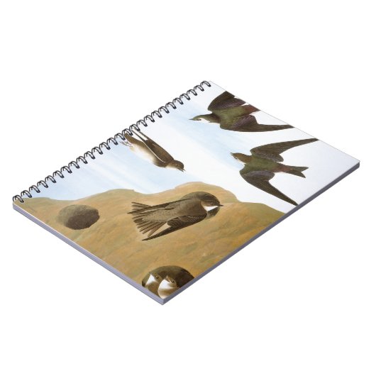 Audubon: つばめ ノートブック (左側)