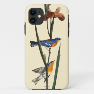 Audubon: アメリカムシクイ iPhone 11 ケース