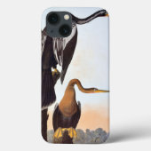 Audubon：アンヒンガ Case-Mate iPhoneケース (裏面)