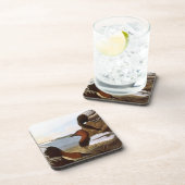 Audubon: オオホシハジロ コースター (右側)