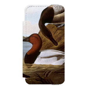 Audubon: オオホシハジロ iPhone SE/5/5sウォレットケース
