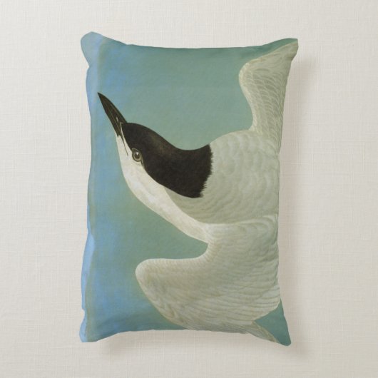 Audubon: カモメ勘定書を出されたアジサシ アクセントクッション (裏面(縦))