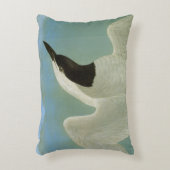 Audubon: カモメ勘定書を出されたアジサシ アクセントクッション (正面(垂直))