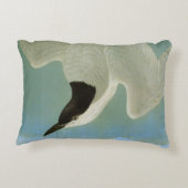 Audubon: カモメ勘定書を出されたアジサシ アクセントクッション (裏面)