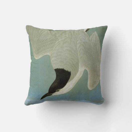 Audubon: カモメ勘定書を出されたアジサシ クッション (裏面)