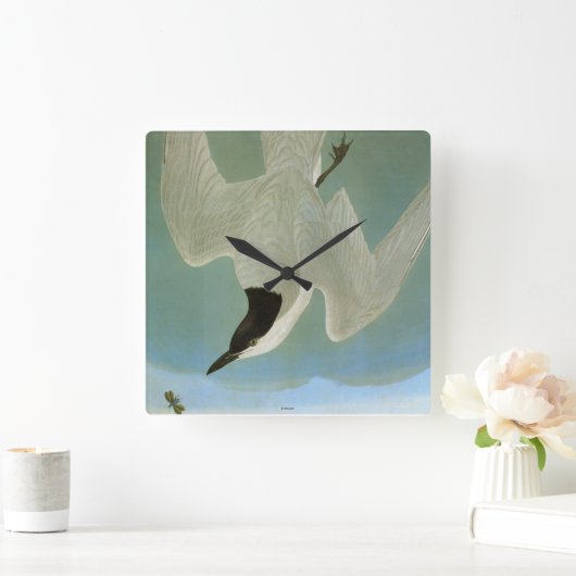 Audubon: カモメ勘定書を出されたアジサシ スクエア壁時計 (ホーム)