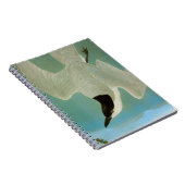 Audubon: カモメ勘定書を出されたアジサシ ノートブック (右側)