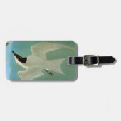 Audubon: カモメ勘定書を出されたアジサシ ラゲッジタグ (正面横)