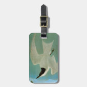 Audubon: カモメ勘定書を出されたアジサシ ラゲッジタグ (正面縦)