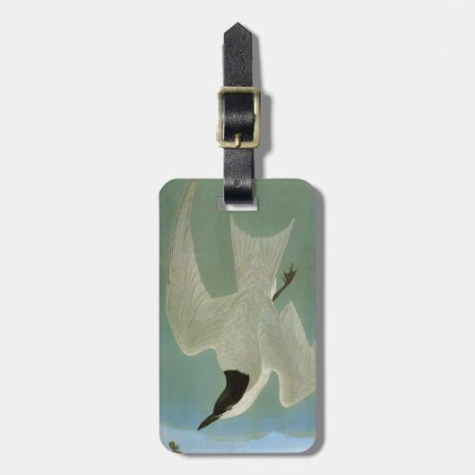 Audubon: カモメ勘定書を出されたアジサシ ラゲッジタグ (正面縦)