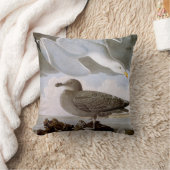 Audubon: セグロカモメ クッション (ブランケット)