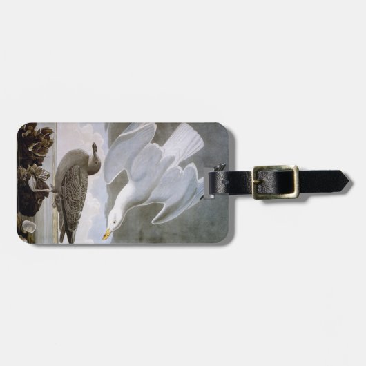 Audubon: セグロカモメ ラゲッジタグ (正面横)