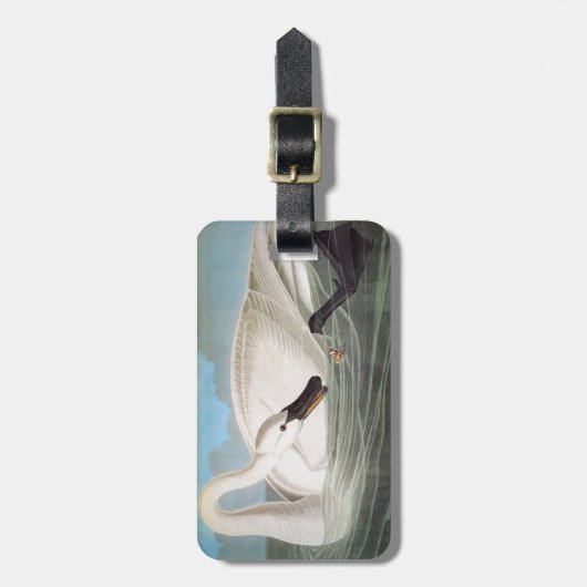 Audubon: ナキハクチョウ ラゲッジタグ (正面縦)