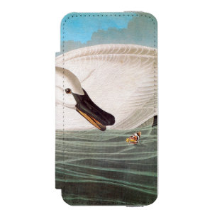 Audubon: ナキハクチョウ iPhone SE/5/5sウォレットケース