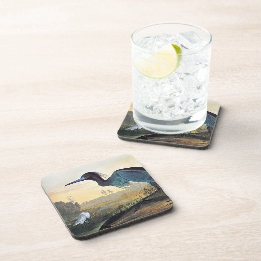 Audubon: ヒメアカクロサギ コースター (右側)
