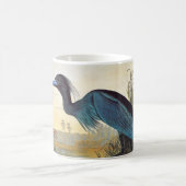 Audubon: ヒメアカクロサギ コーヒーマグカップ (中央)