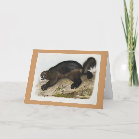 Audubon -ミシガン州人 カード (正面)