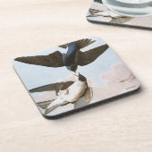 Audubon: ミドリツバメ コースター (左側)