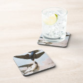 Audubon: ミドリツバメ コースター (右側)