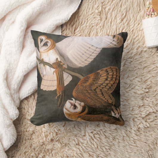 Audubon: メンフクロウ クッション (ブランケット)