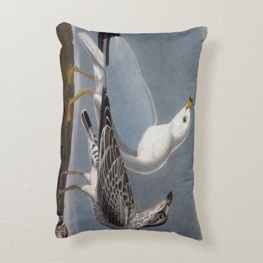 Audubon: リング勘定書を出されたカモメ アクセントクッション (裏面(縦))