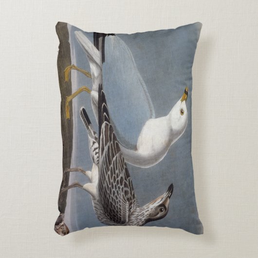 Audubon: リング勘定書を出されたカモメ アクセントクッション (正面(垂直))